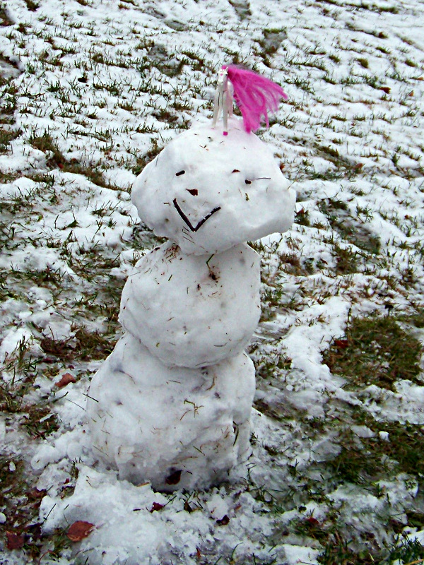 Bonhomme de neige Bonhomme de neige