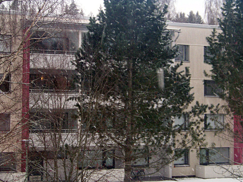 Il neige ! C'est Julie qui est ravie ! Photo prise depuis la fenêtre, avec le zoom... qualité bof !