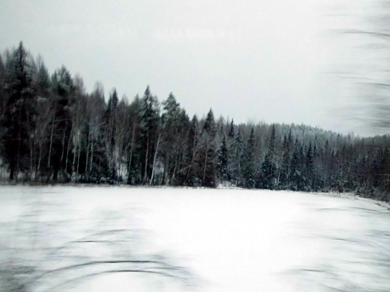 Photo prise du bus : la forêt et la neige