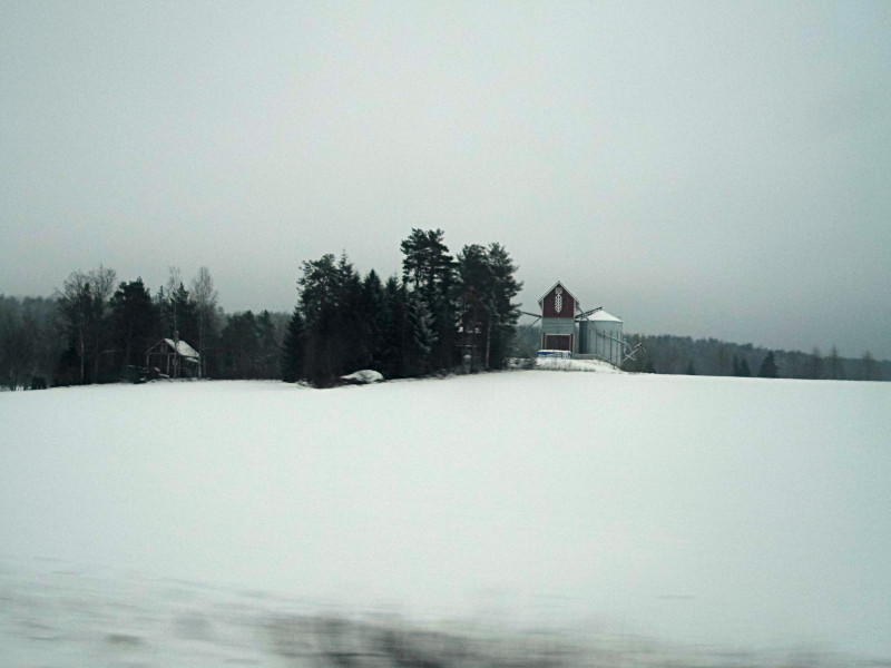 Photo prise du bus : des constructions typiques de Finlande