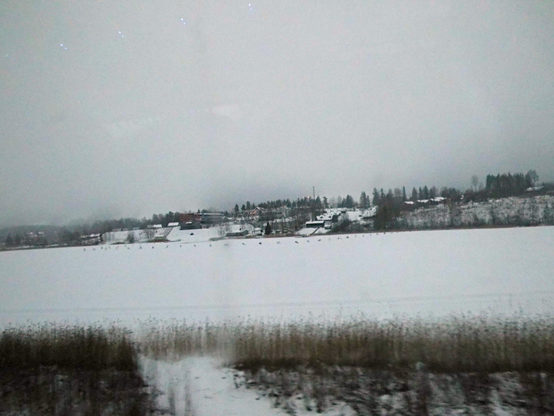 Photo prise du bus : un lac immense, quelques habitations et de la forêt