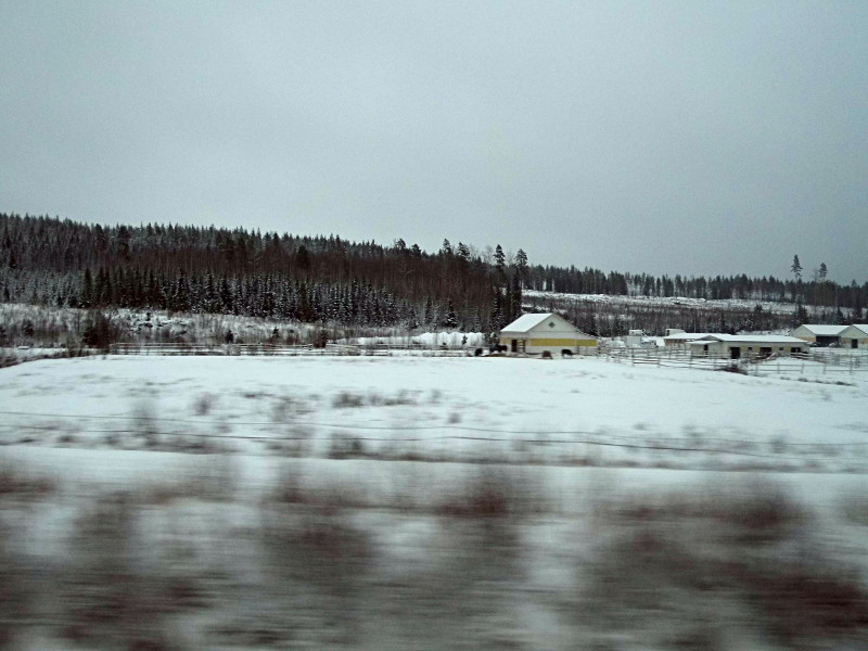 Photo prise du bus : une maison avec enclos à chevaux