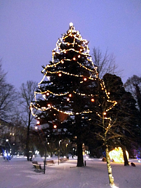 C'était un sapin magnifique, la photo ne lui rend pas justice