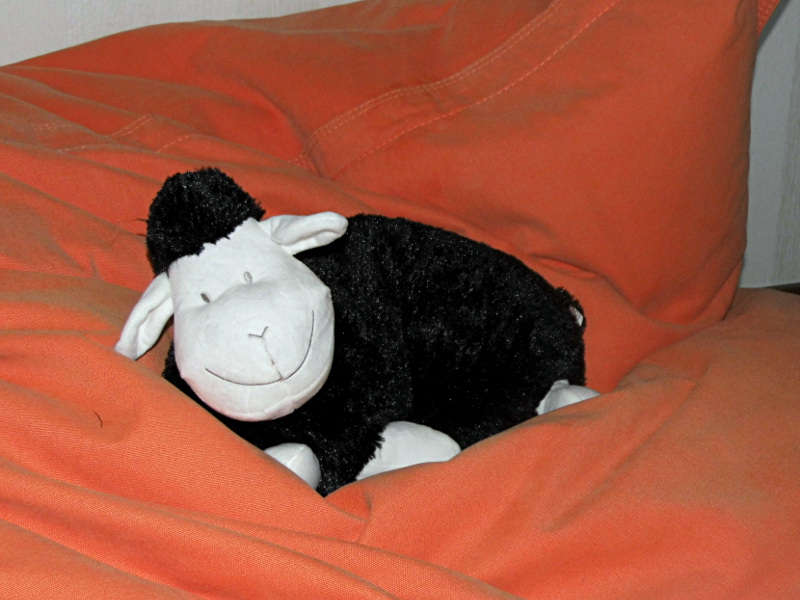 Joie, plaisir, délice, gaité