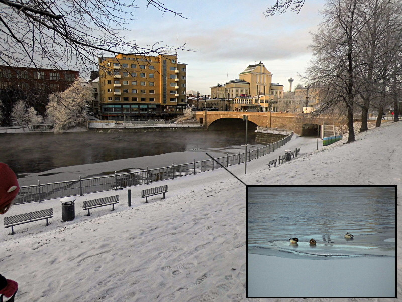 Attendre le bus en regardant l'eau (vive) partiellement gelée, les canards et la brume à Koskipuisto Tampere
