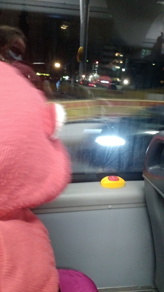 Les boutons stop dans les bus de Tampere