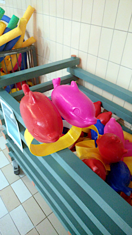 La ceinture flotteur dauphin