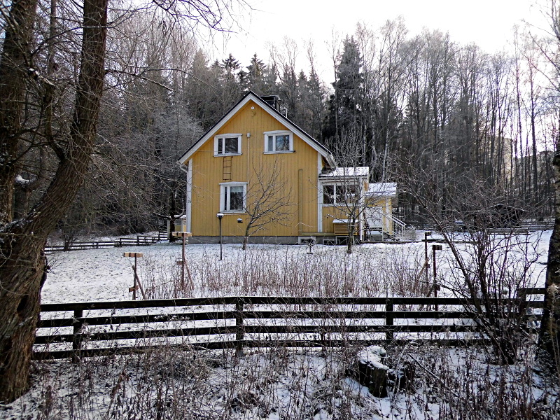 Maison finlandaise jaune sur le chemin pour aller prendre le bus