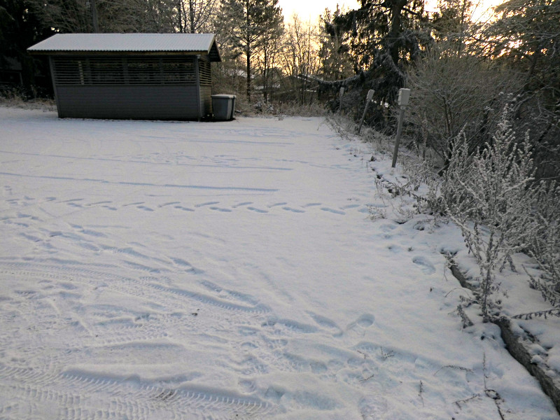 Les traces de pas d'Hervé dans la neige à Lempälää